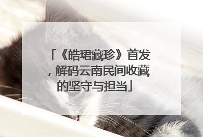 《皓珺藏珍》首发，解码云南民间收藏的坚守与担当