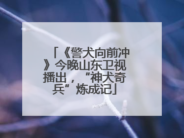 《警犬向前冲》今晚山东卫视播出，“神犬奇兵”炼成记