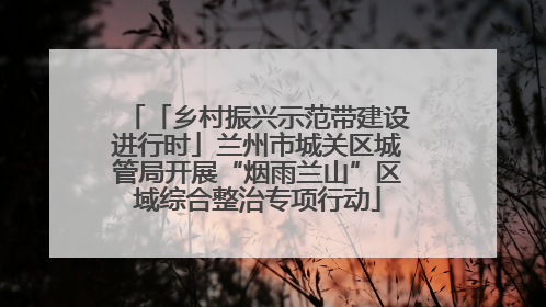 「乡村振兴示范带建设进行时」兰州市城关区城管局开展“烟雨兰山”区域综合整治专项行动