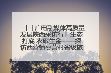「广电融媒体高质量发展陕西采访行」生态打底 农旅生金——探访西营镇蔓营村省级旅游示范村的振兴密码