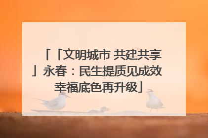 「文明城市 共建共享」永春：民生提质见成效 幸福底色再升级