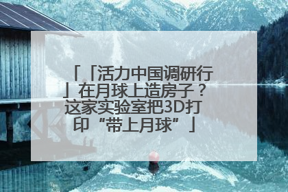 「活力中国调研行」在月球上造房子？这家实验室把3D打印“带上月球”