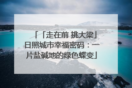 「走在前 挑大梁」日照城市幸福密码：一片盐碱地的绿色蝶变