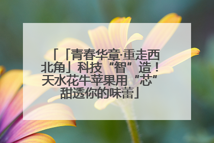 「青春华章·重走西北角」科技“智”造！天水花牛苹果用“芯”甜透你的味蕾