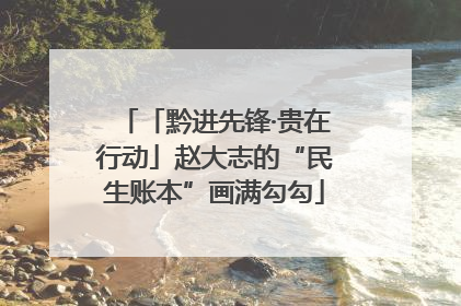 「黔进先锋·贵在行动」赵大志的“民生账本”画满勾勾