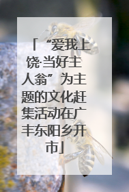 “爱我上饶·当好主人翁”为主题的文化赶集活动在广丰东阳乡开市