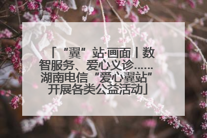 “翼”站·画面丨数智服务、爱心义诊……湖南电信“爱心翼站” 开展各类公益活动