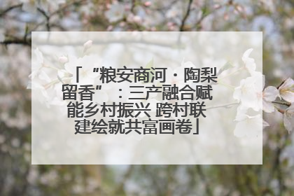 “粮安商河・陶梨留香”：三产融合赋能乡村振兴 跨村联建绘就共富画卷