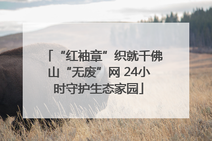 “红袖章”织就千佛山“无废”网 24小时守护生态家园