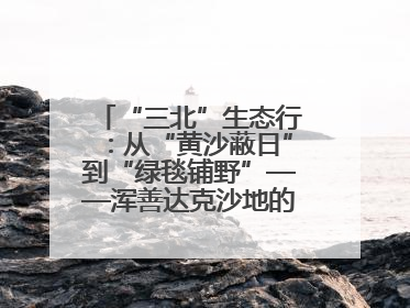 “三北”生态行：从“黄沙蔽日”到“绿毯铺野”——浑善达克沙地的“绿色重生”
