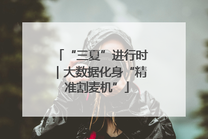 “三夏”进行时｜大数据化身“精准割麦机”