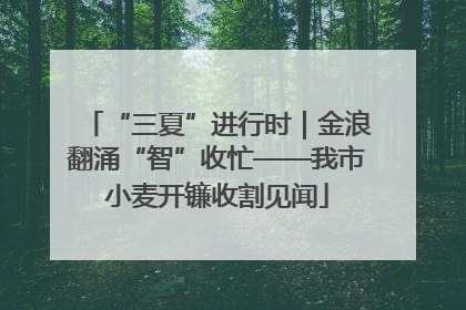“三夏”进行时｜金浪翻涌“智”收忙——我市小麦开镰收割见闻