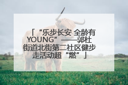 “乐步长安 全龄有YOUNG”——郭杜街道北街第二社区健步走活动超“燃”