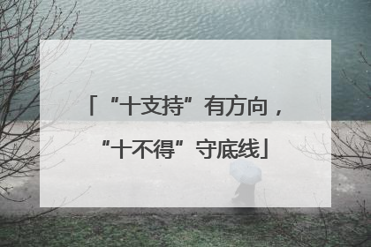 “十支持”有方向，“十不得”守底线