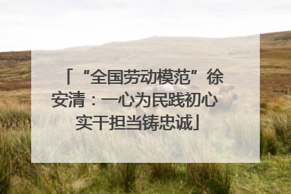 “全国劳动模范”徐安清：一心为民践初心 实干担当铸忠诚
