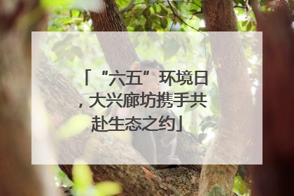 “六五”环境日，大兴廊坊携手共赴生态之约