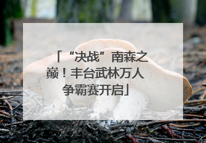 “决战”南森之巅！丰台武林万人争霸赛开启