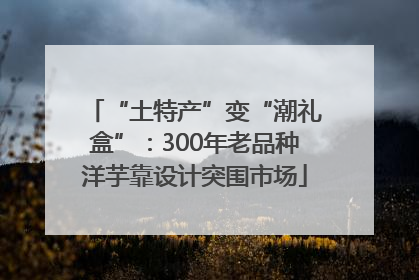 “土特产”变“潮礼盒”：300年老品种洋芋靠设计突围市场