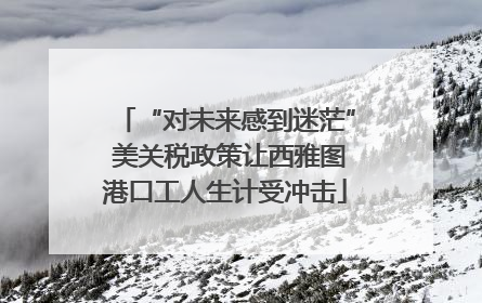 “对未来感到迷茫” 美关税政策让西雅图港口工人生计受冲击