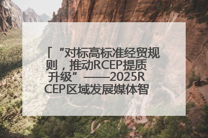“对标高标准经贸规则，推动RCEP提质升级”——2025RCEP区域发展媒体智库论坛举行专题对话