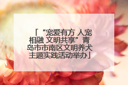 “宠爱有方 人宠相融 文明共享”青岛市市南区文明养犬主题实践活动举办