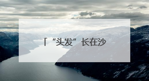 “头发”长在沙地上？宁夏发现大规模国家一级保护植物发菜群落