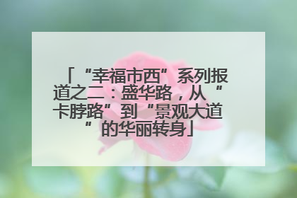 “幸福市西”系列报道之二：盛华路，从“卡脖路”到“景观大道”的华丽转身