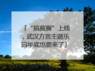 “搞莫狮”上线，武汉方言主题乐园年底也要来了