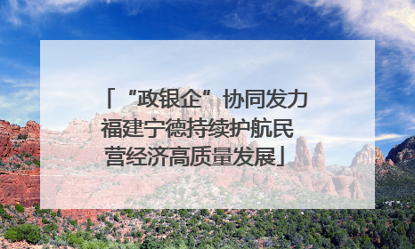 “政银企”协同发力 福建宁德持续护航民营经济高质量发展