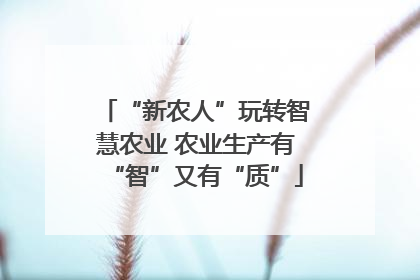 “新农人”玩转智慧农业 农业生产有“智”又有“质”