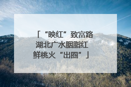 “映红”致富路 湖北广水胭脂红鲜桃火“出圈”