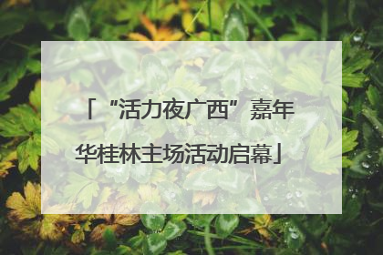 “活力夜广西”嘉年华桂林主场活动启幕