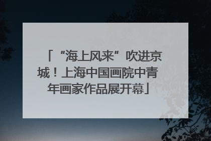 “海上风来”吹进京城！上海中国画院中青年画家作品展开幕