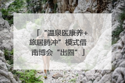 “温泉医康养+旅居腾冲”模式借南博会“出圈”