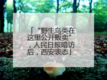 “野生鸟类在这里公开贩卖”，人民日报暗访后，西安表态
