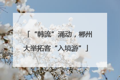 “韩流”涌动，郴州大举拓客“入境游”