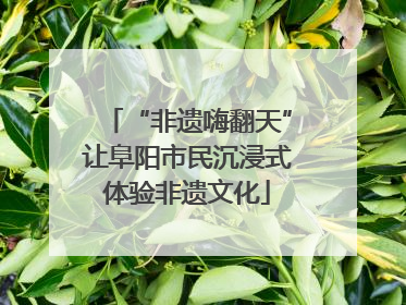 “非遗嗨翻天”让阜阳市民沉浸式体验非遗文化