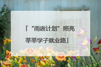 “雨露计划”照亮莘莘学子就业路