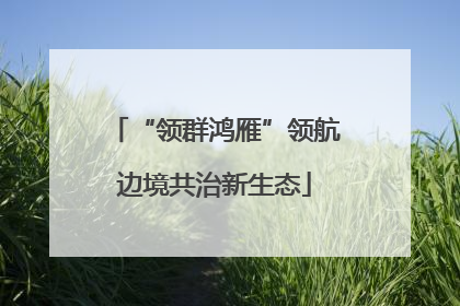 “领群鸿雁”领航边境共治新生态