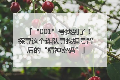 “001”号找到了！探寻这个连队寻找编号背后的“精神密码”