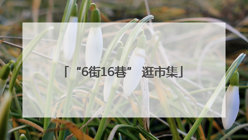 “6街16巷” 逛市集