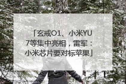 玄戒O1、小米YU7等集中亮相，雷军：小米芯片要对标苹果