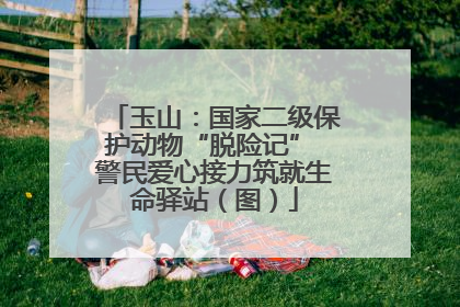 玉山：国家二级保护动物“脱险记” 警民爱心接力筑就生命驿站（图）