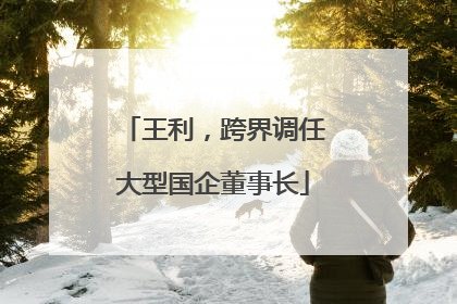 王利，跨界调任大型国企董事长
