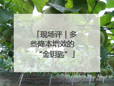 现场评｜多些降本增效的“金钥匙”