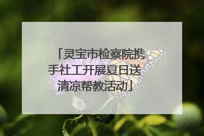 灵宝市检察院携手社工开展夏日送清凉帮教活动
