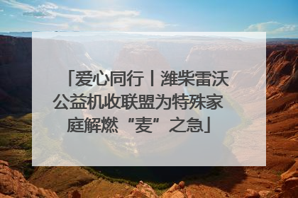 爱心同行丨潍柴雷沃公益机收联盟为特殊家庭解燃“麦”之急