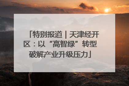 特别报道｜天津经开区：以“高智绿”转型破解产业升级压力