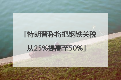 特朗普称将把钢铁关税从25%提高至50%