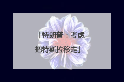 特朗普：考虑把特斯拉移走